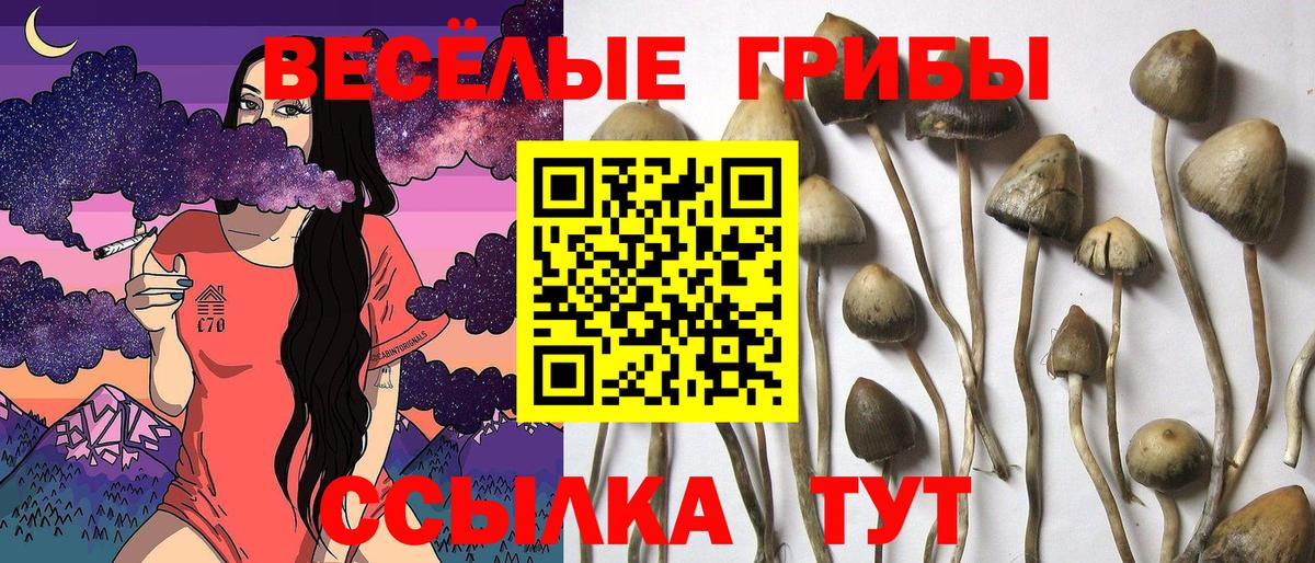 Фурманов  Галлюциногенные грибы мицелий  Псилоцибиновые грибы мицелий  Вход с VPN 