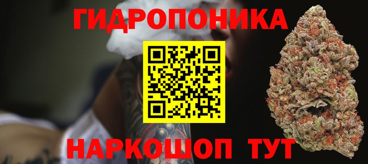 Шишки марихуана планчик Фурманов